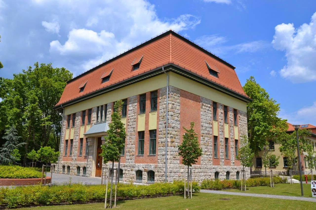 International Business School (IBS)